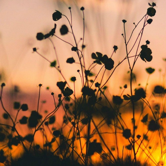 Meet your Posher, Erin - Picture 1 of 1